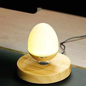 Bluetooth Magnetic Levitation Speaker